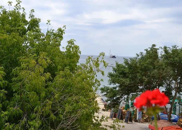 Hotel Family Magnolia 2*